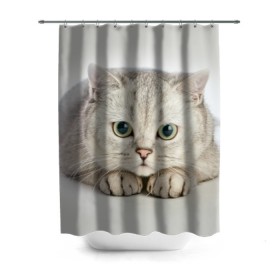 Штора 3D для ванной с принтом Британец 6 в Екатеринбурге, 100% полиэстер | плотность материала — 100 г/м2. Стандартный размер — 146 см х 180 см. По верхнему краю — пластиковые люверсы для креплений. В комплекте 10 пластиковых колец | британец | британская | британцы | кот | котенок | котик | котэ | кошка