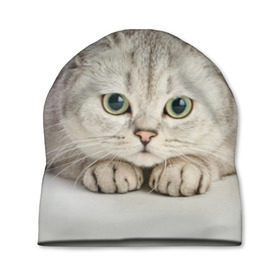 Шапка 3D с принтом Британец 6 в Екатеринбурге, 100% полиэстер | универсальный размер, печать по всей поверхности изделия | британец | британская | британцы | кот | котенок | котик | котэ | кошка