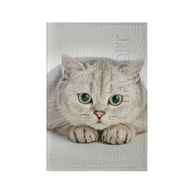 Обложка для паспорта матовая кожа с принтом Британец 6 в Екатеринбурге, натуральная матовая кожа | размер 19,3 х 13,7 см; прозрачные пластиковые крепления | Тематика изображения на принте: британец | британская | британцы | кот | котенок | котик | котэ | кошка