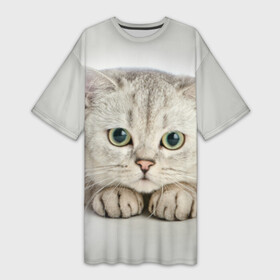 Платье-футболка 3D с принтом Британец кот лежит сосредоточен в Екатеринбурге,  |  | британец | британская | британцы | кот | котенок | котик | котэ | кошка