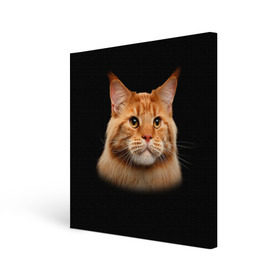 Холст квадратный с принтом Мейн-кун 6 в Екатеринбурге, 100% ПВХ |  | Тематика изображения на принте: кот | котенок | котик | котэ | кошка | мейн кун | мейнкун | мэйн кун | мэйнкун