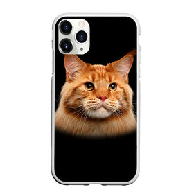 Чехол для iPhone 11 Pro Max матовый с принтом Мейн-кун 6 в Екатеринбурге, Силикон |  | Тематика изображения на принте: кот | котенок | котик | котэ | кошка | мейн кун | мейнкун | мэйн кун | мэйнкун
