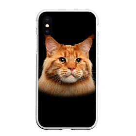 Чехол для iPhone XS Max матовый с принтом Мейн-кун 6 в Екатеринбурге, Силикон | Область печати: задняя сторона чехла, без боковых панелей | кот | котенок | котик | котэ | кошка | мейн кун | мейнкун | мэйн кун | мэйнкун