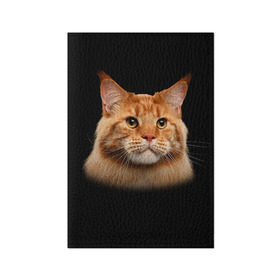 Обложка для паспорта матовая кожа с принтом Мейн-кун 6 в Екатеринбурге, натуральная матовая кожа | размер 19,3 х 13,7 см; прозрачные пластиковые крепления | кот | котенок | котик | котэ | кошка | мейн кун | мейнкун | мэйн кун | мэйнкун