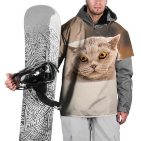 Накидка на куртку 3D с принтом Британец 7 в Екатеринбурге, 100% полиэстер |  | Тематика изображения на принте: британец | британская | британцы | кот | котенок | котик | котэ | кошка