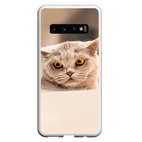 Чехол для Samsung Galaxy S10 с принтом Британец 7 в Екатеринбурге, Силикон | Область печати: задняя сторона чехла, без боковых панелей | Тематика изображения на принте: британец | британская | британцы | кот | котенок | котик | котэ | кошка