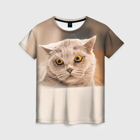 Женская футболка 3D с принтом Британец 7 в Екатеринбурге, 100% полиэфир ( синтетическое хлопкоподобное полотно) | прямой крой, круглый вырез горловины, длина до линии бедер | британец | британская | британцы | кот | котенок | котик | котэ | кошка