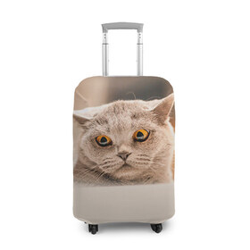 Чехол для чемодана 3D с принтом Британец 7 в Екатеринбурге, 86% полиэфир, 14% спандекс | двустороннее нанесение принта, прорези для ручек и колес | британец | британская | британцы | кот | котенок | котик | котэ | кошка