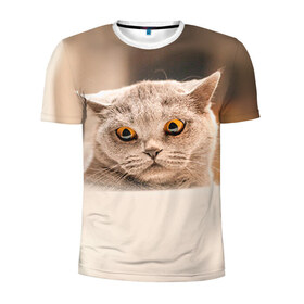 Мужская футболка 3D спортивная с принтом Британец 7 в Екатеринбурге, 100% полиэстер с улучшенными характеристиками | приталенный силуэт, круглая горловина, широкие плечи, сужается к линии бедра | Тематика изображения на принте: британец | британская | британцы | кот | котенок | котик | котэ | кошка