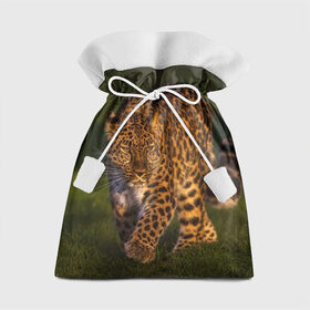 Подарочный 3D мешок с принтом Дальневосточный леопард в Екатеринбурге, 100% полиэстер | Размер: 29*39 см | дикая кошка | леопард | природа | хищник