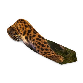 Галстук 3D с принтом Дальневосточный леопард в Екатеринбурге, 100% полиэстер | Длина 148 см; Плотность 150-180 г/м2 | Тематика изображения на принте: дикая кошка | леопард | природа | хищник
