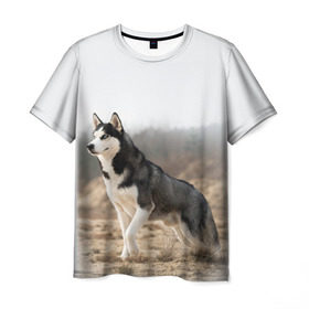 Мужская футболка 3D с принтом Хаски в Екатеринбурге, 100% полиэфир | прямой крой, круглый вырез горловины, длина до линии бедер | dog | husky | siberia | север | сибирь | собака | хаски
