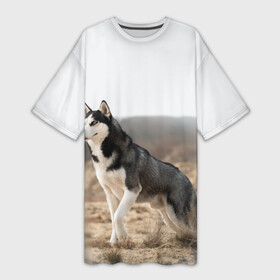 Платье-футболка 3D с принтом Хаски в Екатеринбурге,  |  | dog | husky | siberia | север | сибирь | собака | хаски