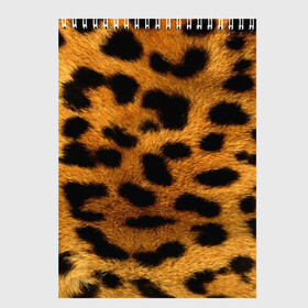 Скетчбук с принтом Леопард в Екатеринбурге, 100% бумага
 | 48 листов, плотность листов — 100 г/м2, плотность картонной обложки — 250 г/м2. Листы скреплены сверху удобной пружинной спиралью | леопард | пятна | шерсть