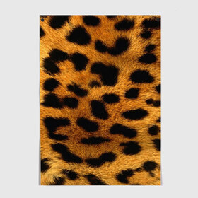 Постер с принтом Леопард в Екатеринбурге, 100% бумага
 | бумага, плотность 150 мг. Матовая, но за счет высокого коэффициента гладкости имеет небольшой блеск и дает на свету блики, но в отличии от глянцевой бумаги не покрыта лаком | леопард | пятна | шерсть