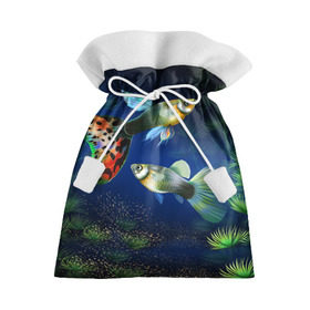 Подарочный 3D мешок с принтом Аквариумные рыбки в Екатеринбурге, 100% полиэстер | Размер: 29*39 см | аквариум | вода | водоросли | природа | рыба | рыбка | туризм