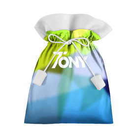 Подарочный 3D мешок с принтом TonyCreative 9 в Екатеринбурге, 100% полиэстер | Размер: 29*39 см | Тематика изображения на принте: minecraft | teamcrtv | tony | tony creative | tonycreative | yotube | блоггер | блогер | майнкрафт | тони | тони креатив | ютуб | ютьюб
