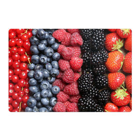 Магнитный плакат 3Х2 с принтом Сочные ягоды в Екатеринбурге, Полимерный материал с магнитным слоем | 6 деталей размером 9*9 см | богатый урожай | брусника | ерга | земляника | клубника | клюква | малина | морожка | облепиха | рябина | смородина | сок | сочные плоды | фрукты | черника | черноплодка | шиповник | ягоды