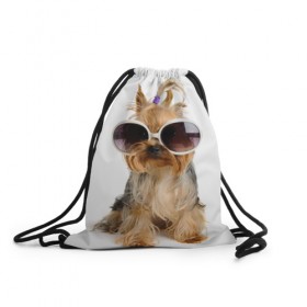 Рюкзак-мешок 3D с принтом Модница в Екатеринбурге, 100% полиэстер | плотность ткани — 200 г/м2, размер — 35 х 45 см; лямки — толстые шнурки, застежка на шнуровке, без карманов и подкладки | fashion | животное | красавица | лучший друг | модница | няша | очки | причёска | собака | собачка | щенок | щеночек