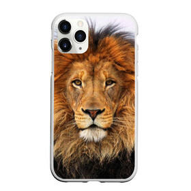 Чехол для iPhone 11 Pro матовый с принтом Красавец лев в Екатеринбурге, Силикон |  | lion | грива | дикая кошка | добыча | животное | зверь | клыки | когти | король джунглей | лев | мясо | хищник | царь зверей