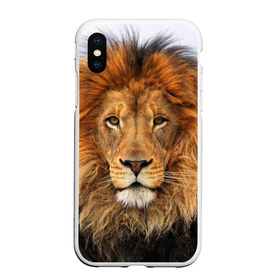 Чехол для iPhone XS Max матовый с принтом Красавец лев в Екатеринбурге, Силикон | Область печати: задняя сторона чехла, без боковых панелей | lion | грива | дикая кошка | добыча | животное | зверь | клыки | когти | король джунглей | лев | мясо | хищник | царь зверей