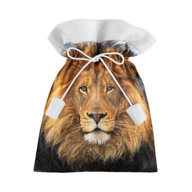 Подарочный 3D мешок с принтом Красавец лев в Екатеринбурге, 100% полиэстер | Размер: 29*39 см | lion | грива | дикая кошка | добыча | животное | зверь | клыки | когти | король джунглей | лев | мясо | хищник | царь зверей