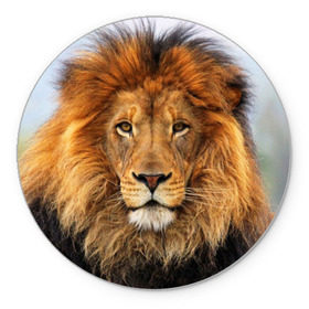 Коврик круглый с принтом Красавец лев в Екатеринбурге, резина и полиэстер | круглая форма, изображение наносится на всю лицевую часть | lion | грива | дикая кошка | добыча | животное | зверь | клыки | когти | король джунглей | лев | мясо | хищник | царь зверей