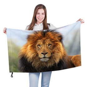 Флаг 3D с принтом Красавец лев в Екатеринбурге, 100% полиэстер | плотность ткани — 95 г/м2, размер — 67 х 109 см. Принт наносится с одной стороны | lion | грива | дикая кошка | добыча | животное | зверь | клыки | когти | король джунглей | лев | мясо | хищник | царь зверей