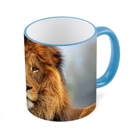 Кружка 3D с принтом Красавец лев в Екатеринбурге, керамика | ёмкость 330 мл | lion | грива | дикая кошка | добыча | животное | зверь | клыки | когти | король джунглей | лев | мясо | хищник | царь зверей