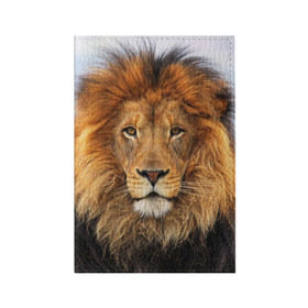 Обложка для паспорта матовая кожа с принтом Красавец лев в Екатеринбурге, натуральная матовая кожа | размер 19,3 х 13,7 см; прозрачные пластиковые крепления | lion | грива | дикая кошка | добыча | животное | зверь | клыки | когти | король джунглей | лев | мясо | хищник | царь зверей