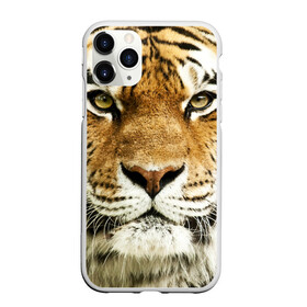 Чехол для iPhone 11 Pro матовый с принтом Амурский тигр в Екатеринбурге, Силикон |  | амурский | дикая кошка | добыча | животное | зверь | клыки | когти | мясо | тигр | уссурийский | хищник