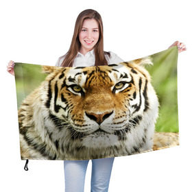 Флаг 3D с принтом Амурский тигр в Екатеринбурге, 100% полиэстер | плотность ткани — 95 г/м2, размер — 67 х 109 см. Принт наносится с одной стороны | амурский | дикая кошка | добыча | животное | зверь | клыки | когти | мясо | тигр | уссурийский | хищник