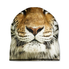 Шапка 3D с принтом Амурский тигр в Екатеринбурге, 100% полиэстер | универсальный размер, печать по всей поверхности изделия | амурский | дикая кошка | добыча | животное | зверь | клыки | когти | мясо | тигр | уссурийский | хищник