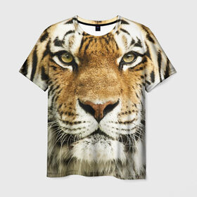 Мужская футболка 3D с принтом Амурский тигр в Екатеринбурге, 100% полиэфир | прямой крой, круглый вырез горловины, длина до линии бедер | амурский | дикая кошка | добыча | животное | зверь | клыки | когти | мясо | тигр | уссурийский | хищник