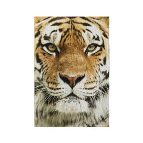 Обложка для паспорта матовая кожа с принтом Амурский тигр в Екатеринбурге, натуральная матовая кожа | размер 19,3 х 13,7 см; прозрачные пластиковые крепления | Тематика изображения на принте: амурский | дикая кошка | добыча | животное | зверь | клыки | когти | мясо | тигр | уссурийский | хищник