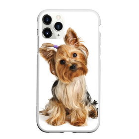 Чехол для iPhone 11 Pro матовый с принтом Красотка в Екатеринбурге, Силикон |  | fashion | животное | красавица | лучший друг | модница | няша | причёска | собака | собачка | щенок | щеночек