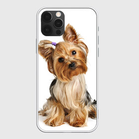 Чехол для iPhone 12 Pro Max с принтом Красотка в Екатеринбурге, Силикон |  | Тематика изображения на принте: fashion | животное | красавица | лучший друг | модница | няша | причёска | собака | собачка | щенок | щеночек