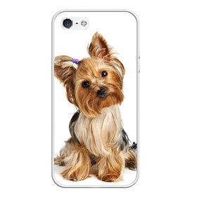 Чехол для iPhone 5/5S матовый с принтом Красотка в Екатеринбурге, Силикон | Область печати: задняя сторона чехла, без боковых панелей | fashion | животное | красавица | лучший друг | модница | няша | причёска | собака | собачка | щенок | щеночек