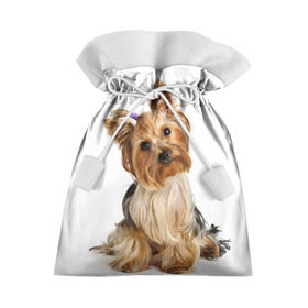 Подарочный 3D мешок с принтом Красотка в Екатеринбурге, 100% полиэстер | Размер: 29*39 см | fashion | животное | красавица | лучший друг | модница | няша | причёска | собака | собачка | щенок | щеночек