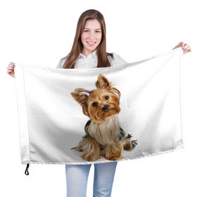 Флаг 3D с принтом Красотка в Екатеринбурге, 100% полиэстер | плотность ткани — 95 г/м2, размер — 67 х 109 см. Принт наносится с одной стороны | fashion | животное | красавица | лучший друг | модница | няша | причёска | собака | собачка | щенок | щеночек