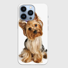 Чехол для iPhone 13 Pro с принтом Красотка в Екатеринбурге,  |  | fashion | животное | красавица | лучший друг | модница | няша | причёска | собака | собачка | щенок | щеночек