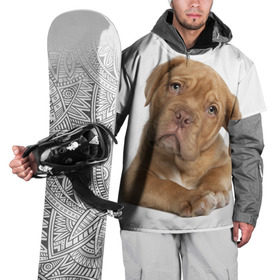 Накидка на куртку 3D с принтом Грустный щенок в Екатеринбурге, 100% полиэстер |  | животное | лучший друг | милаха | няша | собака | собачка | щенок | щеночек