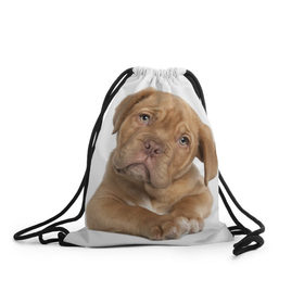 Рюкзак-мешок 3D с принтом Грустный щенок в Екатеринбурге, 100% полиэстер | плотность ткани — 200 г/м2, размер — 35 х 45 см; лямки — толстые шнурки, застежка на шнуровке, без карманов и подкладки | животное | лучший друг | милаха | няша | собака | собачка | щенок | щеночек