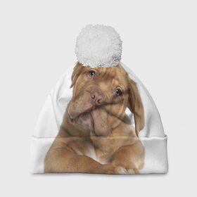 Шапка 3D c помпоном с принтом Грустный щенок в Екатеринбурге, 100% полиэстер | универсальный размер, печать по всей поверхности изделия | животное | лучший друг | милаха | няша | собака | собачка | щенок | щеночек