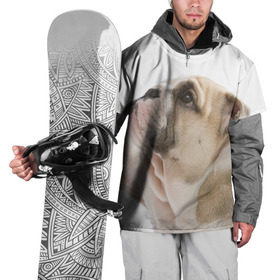 Накидка на куртку 3D с принтом Бульдог в Екатеринбурге, 100% полиэстер |  | Тематика изображения на принте: бульдог | бульдоги | мопс | мопсы | песик | песики | собака | собаки