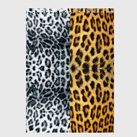 Скетчбук с принтом Леопард Снежный Барс в Екатеринбурге, 100% бумага
 | 48 листов, плотность листов — 100 г/м2, плотность картонной обложки — 250 г/м2. Листы скреплены сверху удобной пружинной спиралью | Тематика изображения на принте: textures | барс | животное | леопард | пятна | снежный | текстура | чёрное с белым