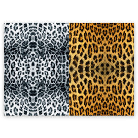 Поздравительная открытка с принтом Леопард/Снежный Барс в Екатеринбурге, 100% бумага | плотность бумаги 280 г/м2, матовая, на обратной стороне линовка и место для марки
 | textures | барс | животное | леопард | пятна | снежный | текстура | чёрное с белым