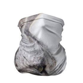 Бандана-труба 3D с принтом Серый кот в Екатеринбурге, 100% полиэстер, ткань с особыми свойствами — Activecool | плотность 150‒180 г/м2; хорошо тянется, но сохраняет форму | взгляд | глаза | голова животного | киска | кот | котёнок | кошка | прикольные картинки