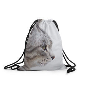 Рюкзак-мешок 3D с принтом Серый кот в Екатеринбурге, 100% полиэстер | плотность ткани — 200 г/м2, размер — 35 х 45 см; лямки — толстые шнурки, застежка на шнуровке, без карманов и подкладки | взгляд | глаза | голова животного | киска | кот | котёнок | кошка | прикольные картинки