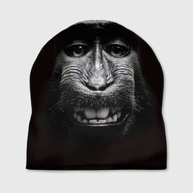 Шапка 3D с принтом обезьяна в Екатеринбурге, 100% полиэстер | универсальный размер, печать по всей поверхности изделия | взгляд | голова | животные | обезьяна | природа